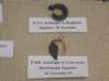 kunstmuseum11_small.jpg