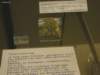 kunstmuseum50_small.jpg