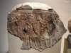 altesmuseum078_small.jpg