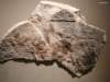 altesmuseum079_small.jpg