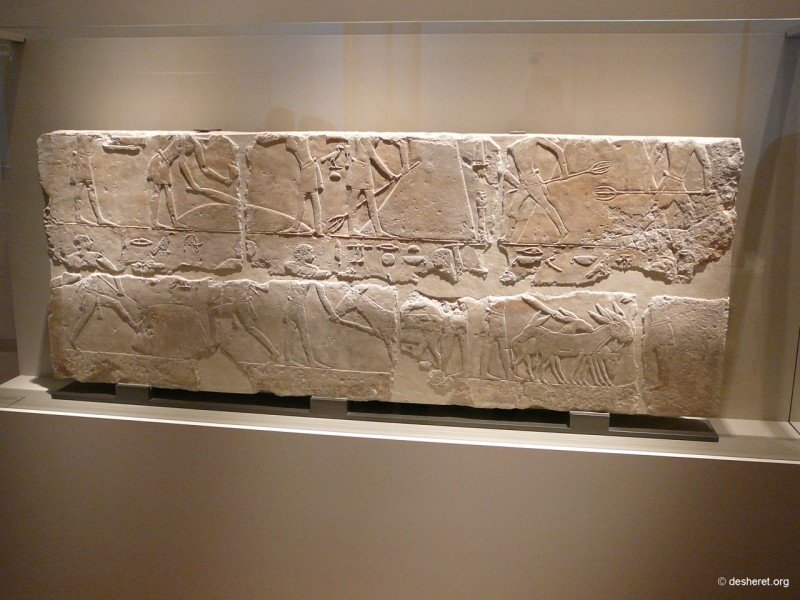 altesmuseum083.jpg
