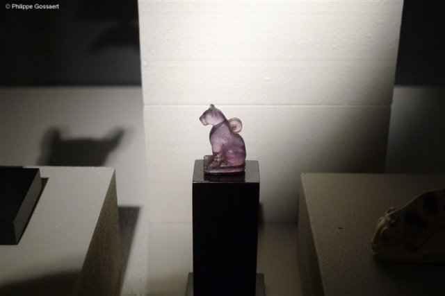 photo197.jpg