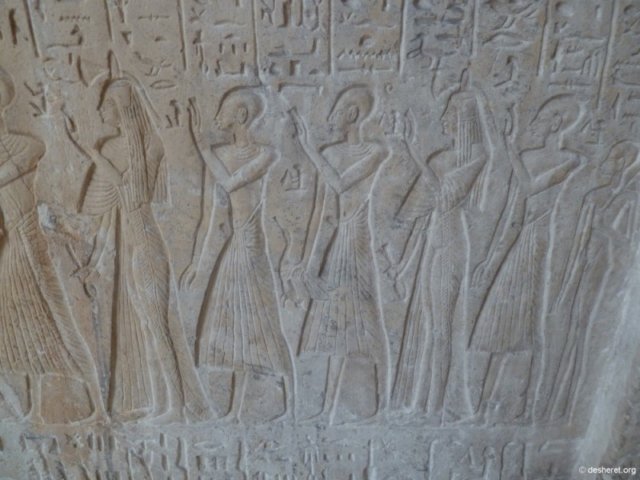 photo106.jpg