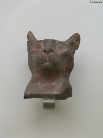 photo36.jpg