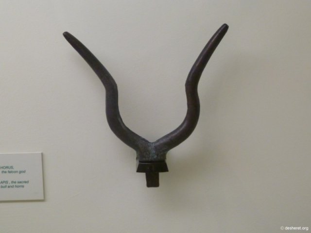 photo44.jpg