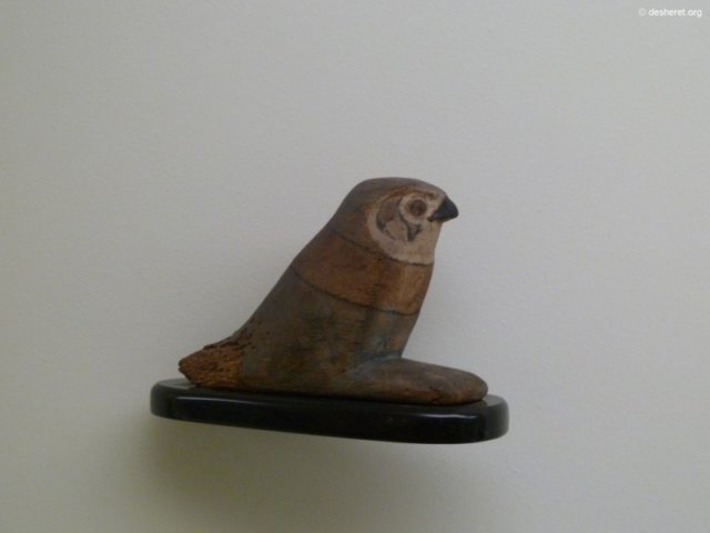 photo50.jpg