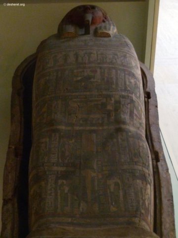 photo88.jpg