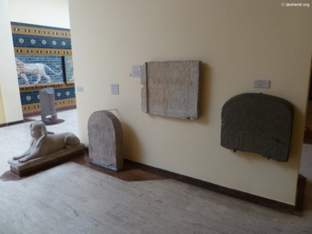 photo9.jpg