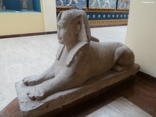 photo94.jpg