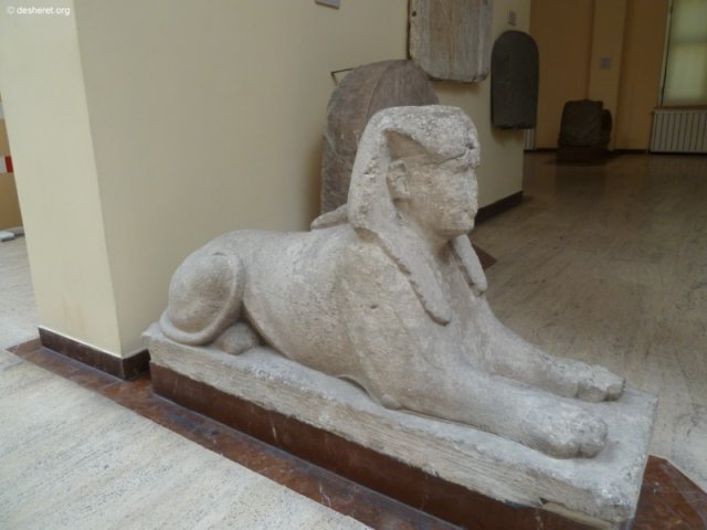 photo96.jpg