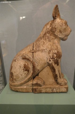 photo12.jpg