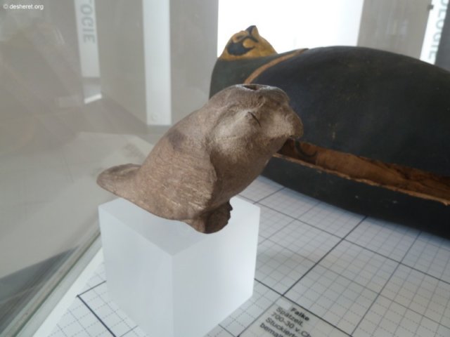 photo5.jpg
