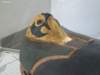 photo7_small.jpg