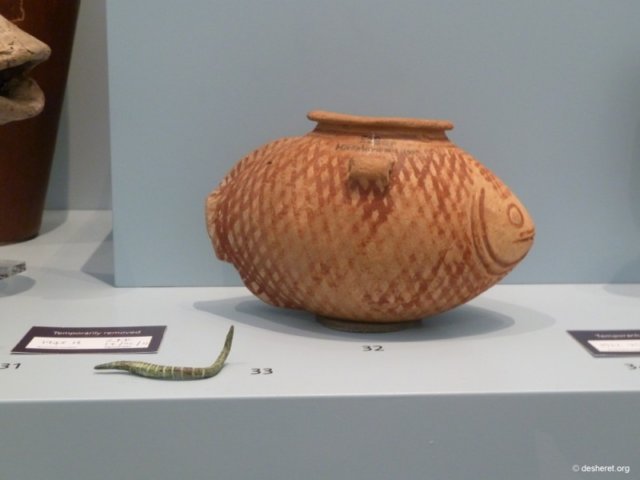 photo40.jpg