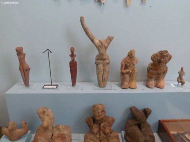 photo85.jpg