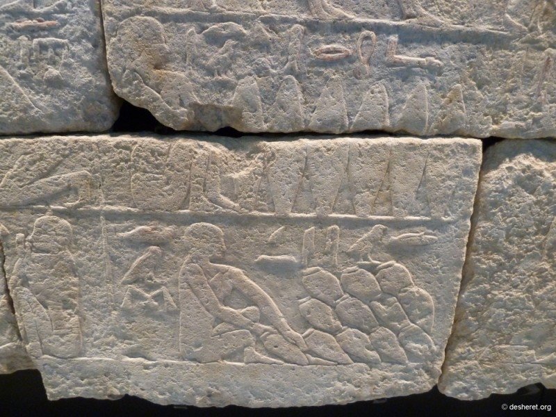 badischeslandesmuseum064.jpg
