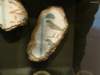badischeslandesmuseum111_small.jpg