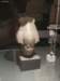badischeslandesmuseum124_small.jpg