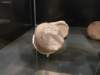 badischeslandesmuseum131_small.jpg
