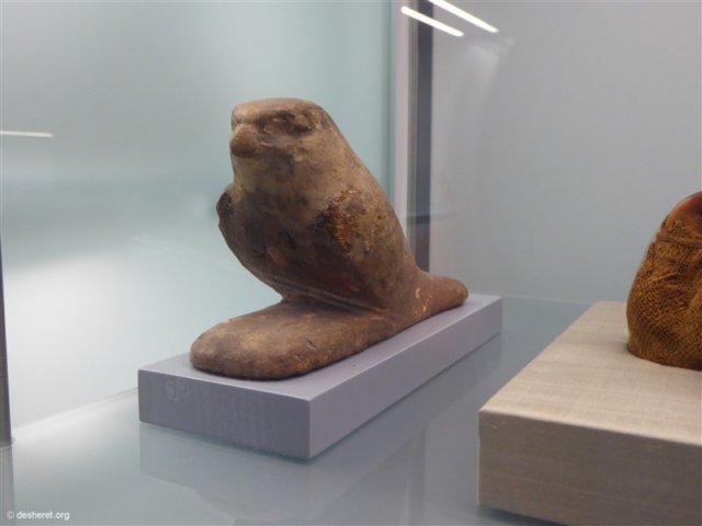 photo65.jpg