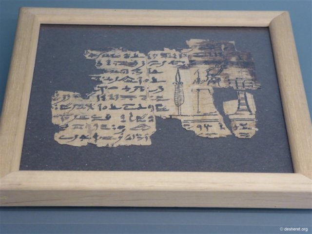 photo78.jpg