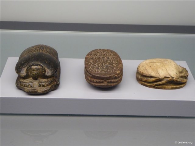photo82.jpg