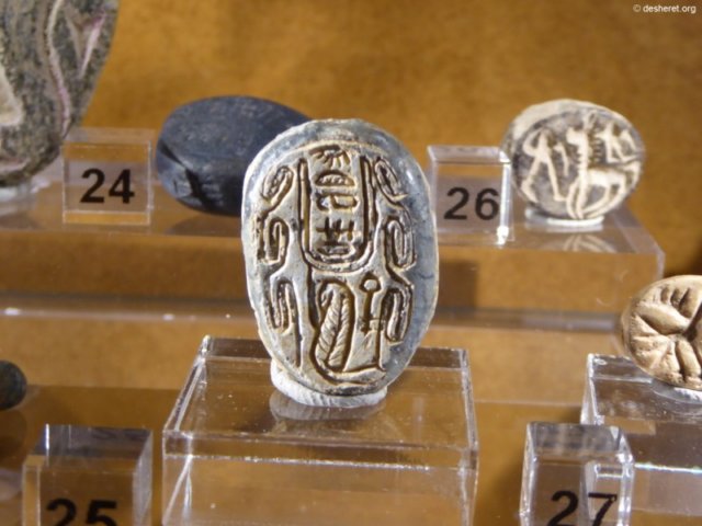 photo8.jpg