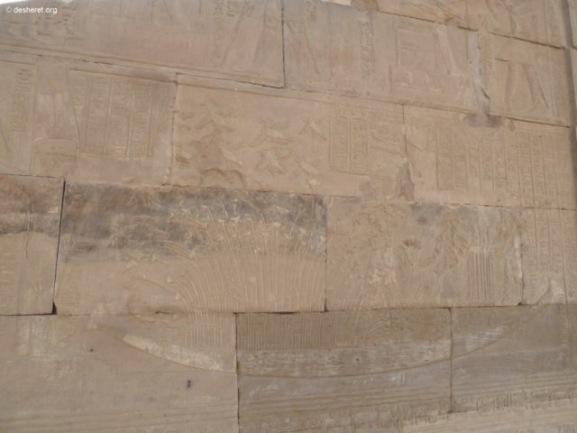 photo76.jpg