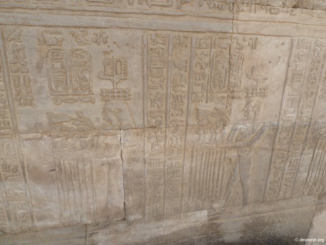 photo81.jpg