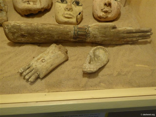 photo20.jpg