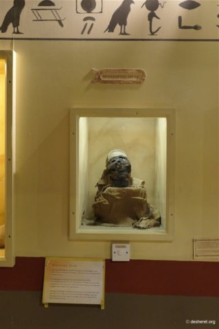 photo21.jpg