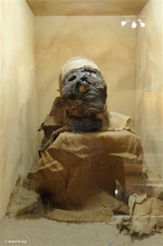 photo22.jpg