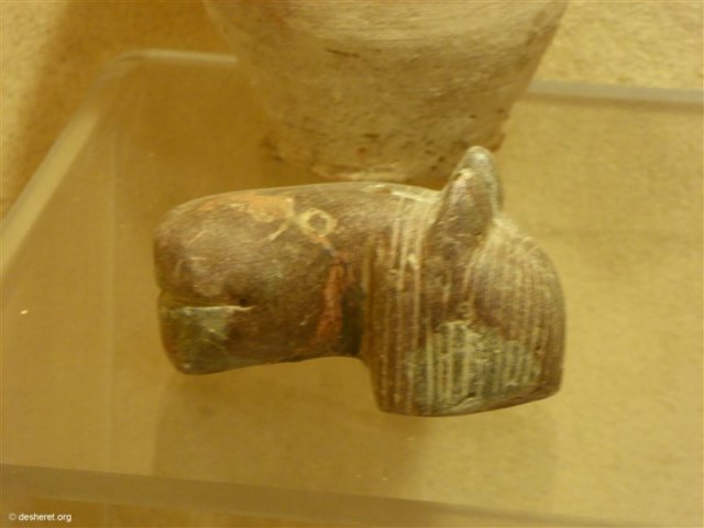 photo26.jpg