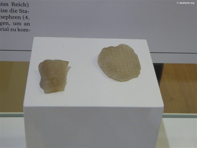 photo63.jpg