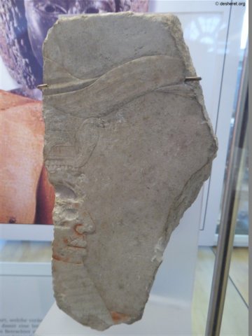 photo9.jpg