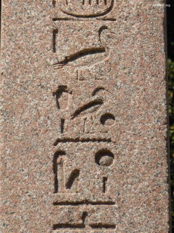 photo22.jpg