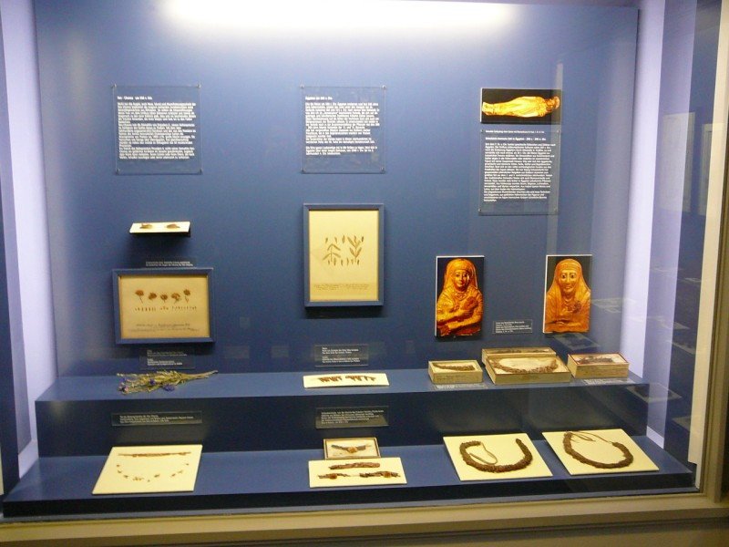 botanischesmuseum09.jpg