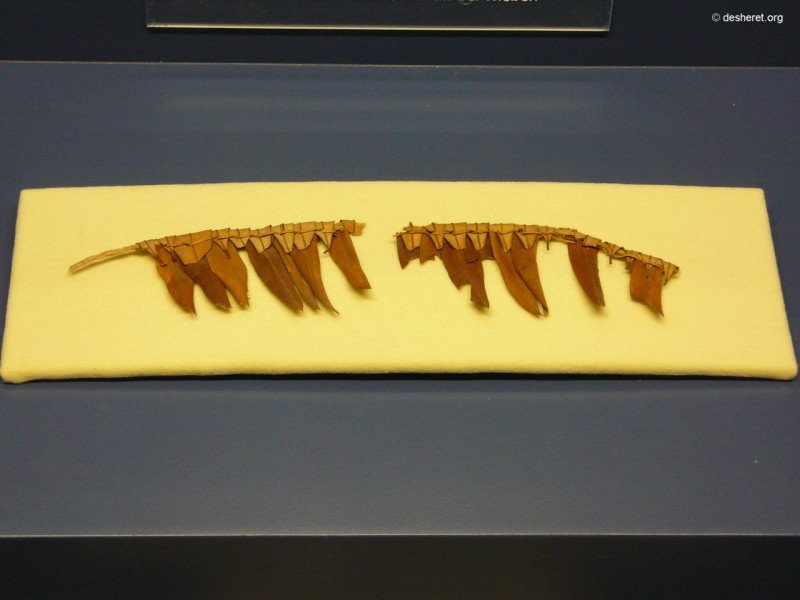 botanischesmuseum14.jpg