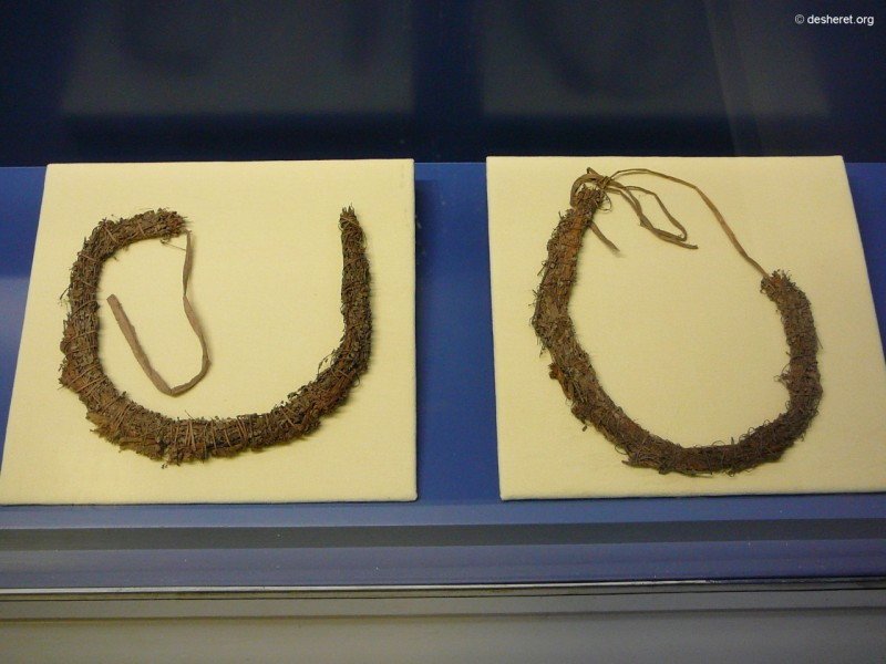 botanischesmuseum16.jpg