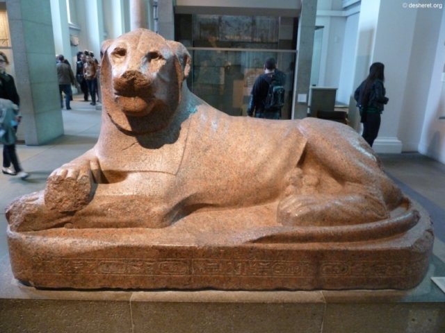photo99.jpg