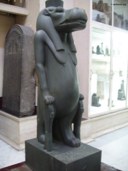 cairo164.jpg