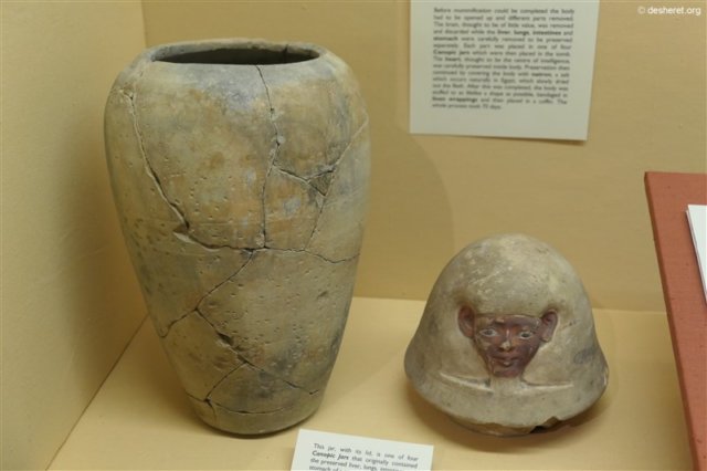photo43.jpg