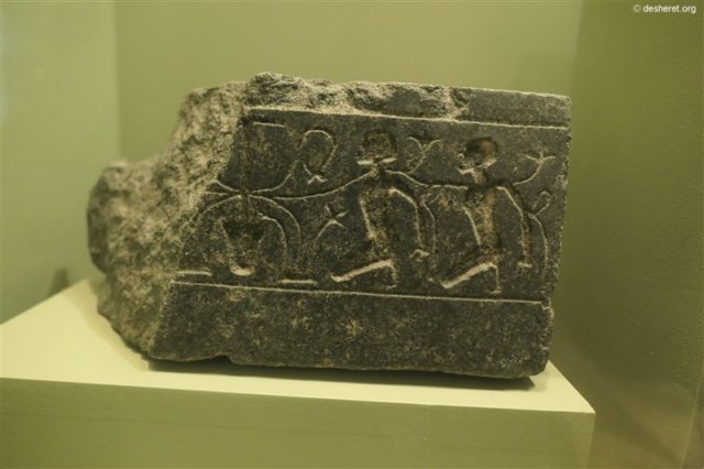 photo10.jpg