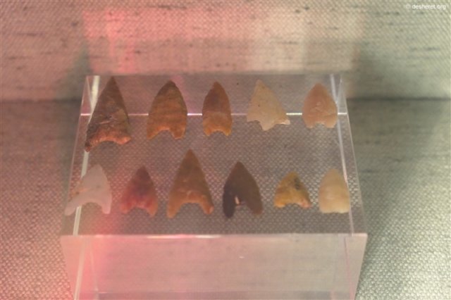 photo13.jpg