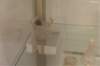 photo189_small.jpg