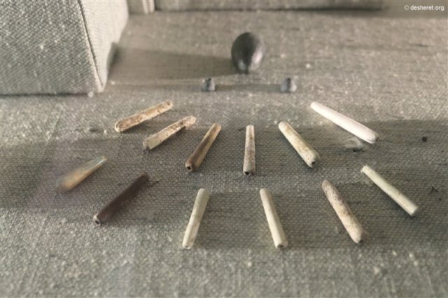 photo31.jpg