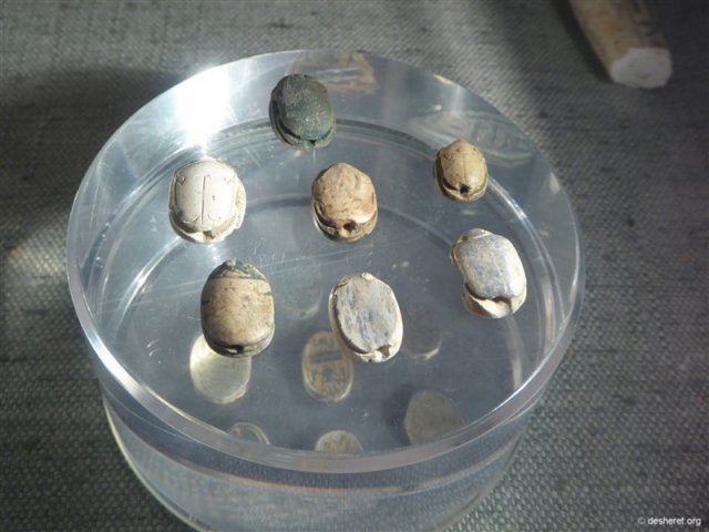 photo45.jpg