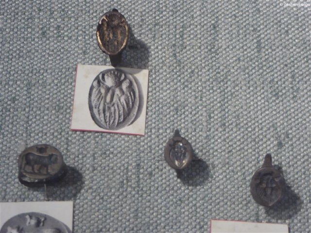 photo55.jpg