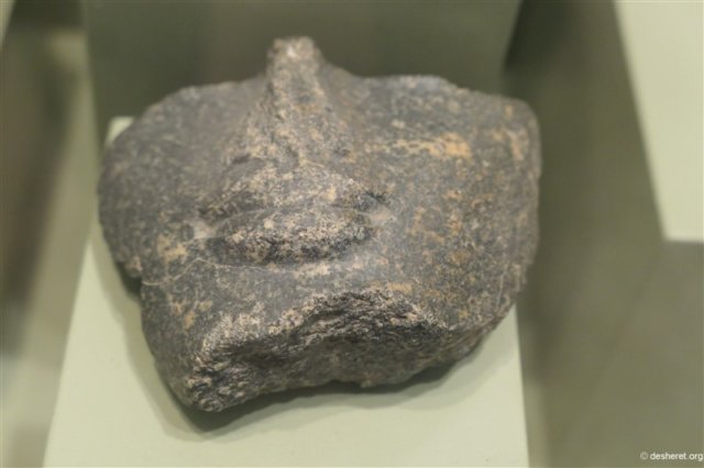 photo8.jpg