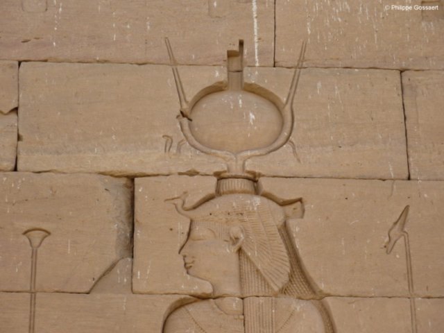 photo8.jpg